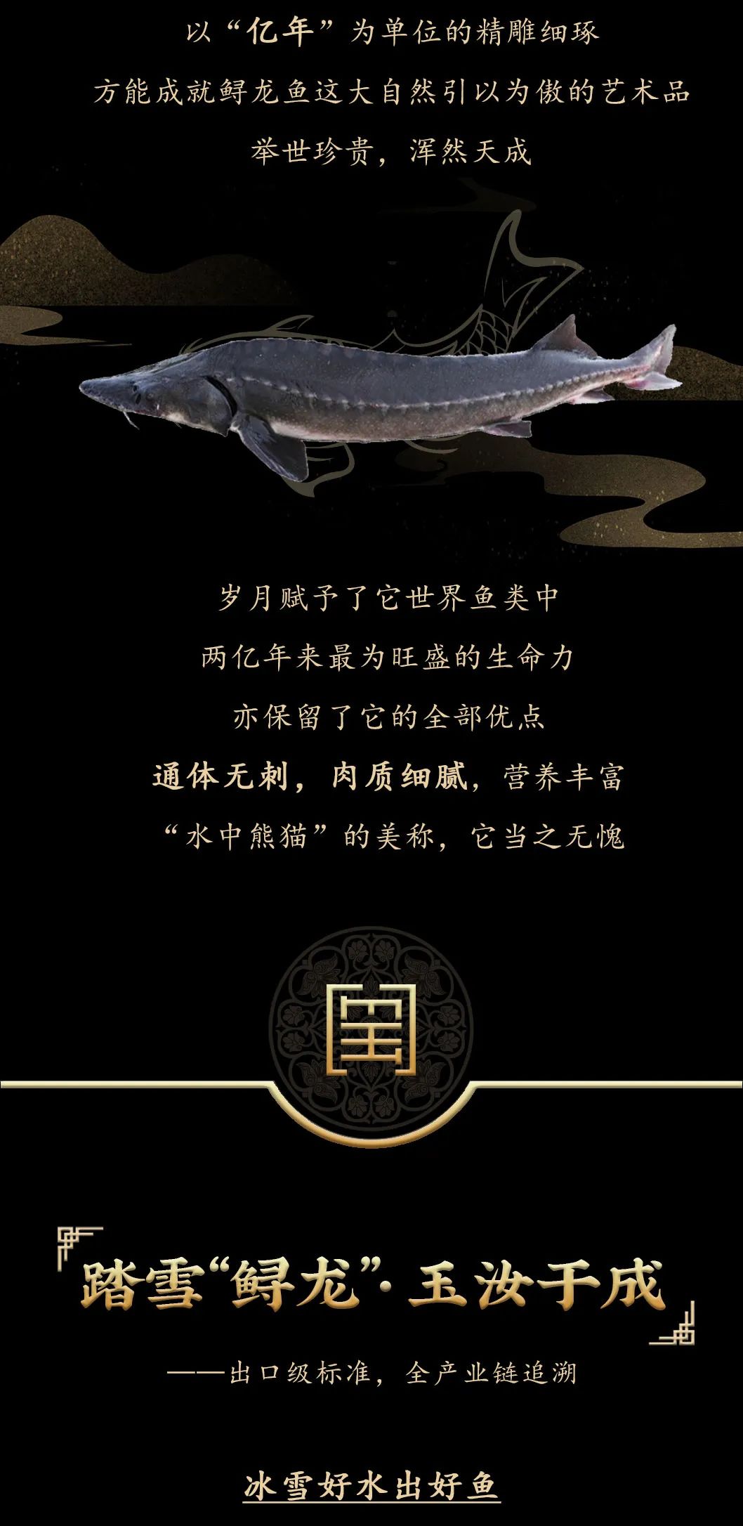 九州鱘龍魚片上新 | 自然臻藏，獻(xiàn)給吃魚有講究的人